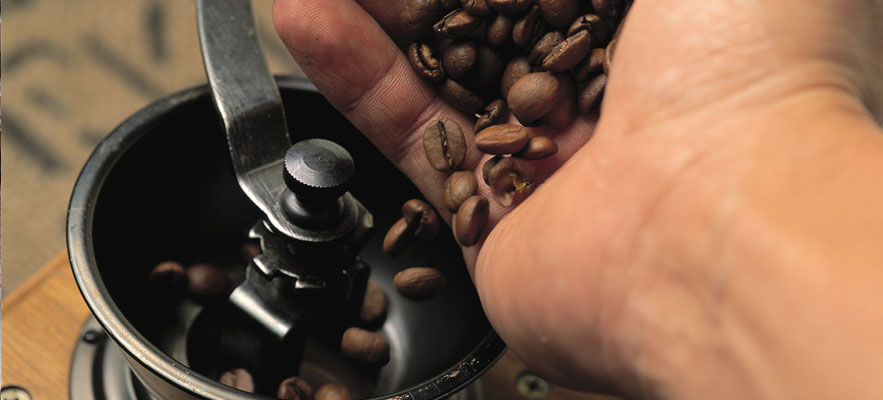 A handful of freshly roasted coffee beans go in the grinder.